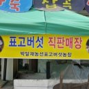 농선농장 이미지