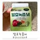 웰빙녹즙 - 서구 | 🍃내 몸이 가벼워지는 기분! 자연드림 ‘발효녹즙M’ 시음 후기🍎🥕