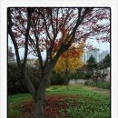 산북초등학교 후문 이미지