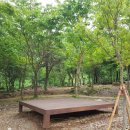 도레미유치원 이미지