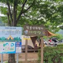 팔봉산관광지 야영장 네이버블로그