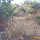 유계농장 이미지