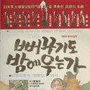 용신21 이미지