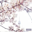 반지만들기 대학로본점