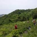 영산로 288 네이버블로그