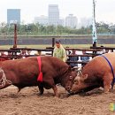 한밭축산 이미지