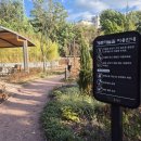 영축산근린공원 산책로 첫번째 쉼터 | 동작구 상도동 게르마늄길, 걸을수록 건강해지는 힐링산책로