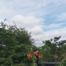 중앙메디칼보청기 이미지