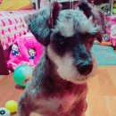 밥주세요 Daum카페