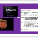 에픽코리아 이미지