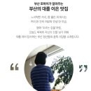 금화떡집