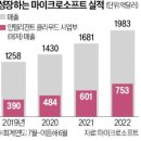 &#39;시조새 기업&#39; MS 바꾼 AI 드라이브…&#34;AI로만 年 100억弗 벌 것&#34; 이미지