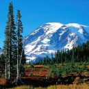 Happy Valley 이미지