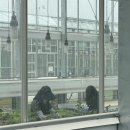 (주)가람온실 네이버블로그