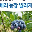 항산농장 이미지