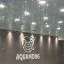 아쿠아몽 이미지