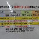 우학터미널 이미지