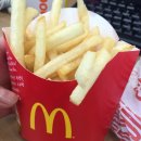 포테이토 이미지