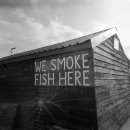 데이라이트 이미지