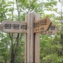 칠보산오리 이미지