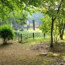 국보농장 이미지