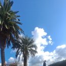 신대3차공인중개사사무소 이미지