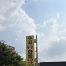 수지화훼 내돈내산 | 몬스테라 | 보석금전수 | 스투키 | 저렴한 식물 구매