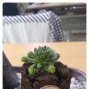 삼덕동주민센터 이미지