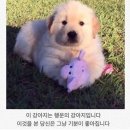 군포산업진흥원 1층 | [2025 한국탄소산업진흥원 체험형 인턴] 서류~면접 후기