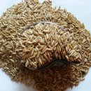 사랑농장 이미지