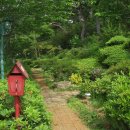 정원이 아름다운 집 이미지