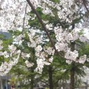 Best Photo Family 이미지