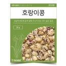콩방콩방