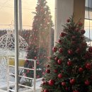 달구벌대로92길 | 바토플루이르다사 솔직후기, 프랑스 명인의 소금빵은 과연 다를까?