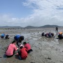 수산어촌체험휴양마을 이미지