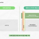 탠덤( 이미지