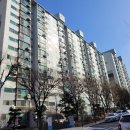 성성우성@ 이미지