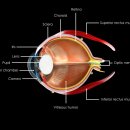 바디플로우짐 이미지