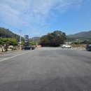 옥천가흑염소 이미지