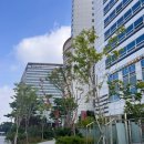 계산역 5번출구 횡단보도(북서쪽) | 빌라드지디 수서 주차 셔틀버스 교통편 후기