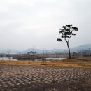 강진호수공원캠핑장 이미지