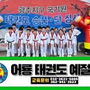 어룡태권도 이미지