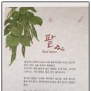 완주시니어클럽(빨간콩) 이미지