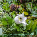 대암산 등산로 입구 이미지