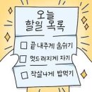 다이아에그