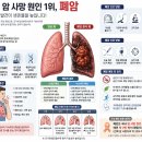 국내 암 사망 원인 1위 폐암, 매년 약 2만 명이 목숨을 잃는 이유와 비흡연자도 안심할 수 없는 이유 이미지