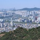 초연하다 - 수원시 장안구 | 초연하다