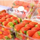 상지마트 이미지