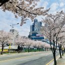 창원횟집 이미지