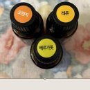 헬로쪼꼬씨